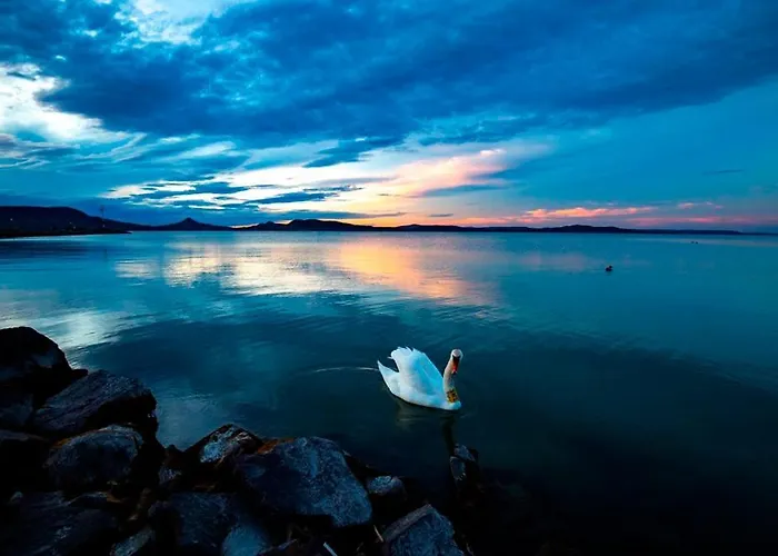 Silver Gold Anka شقة